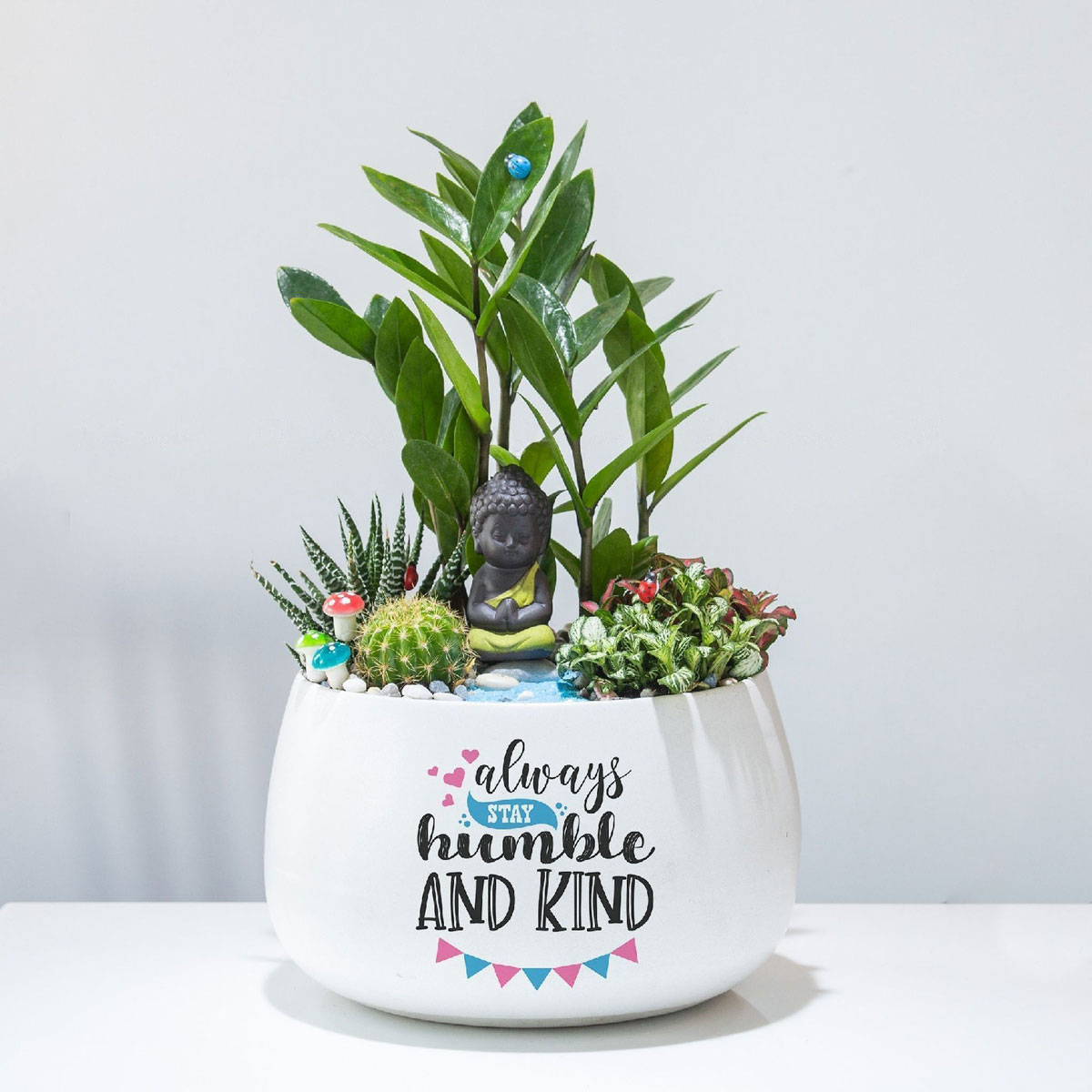 cay canh de ban chau su mix 1