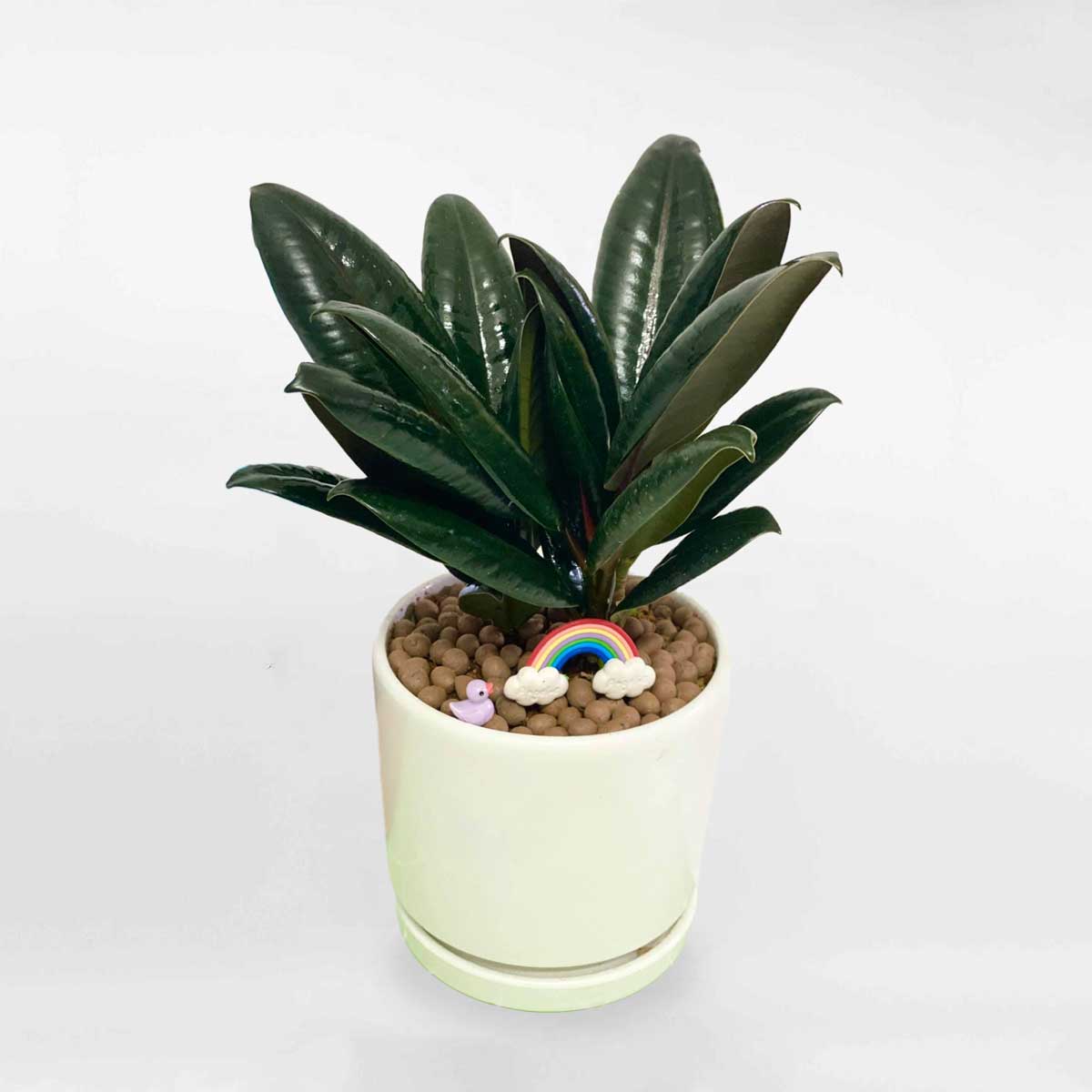 cay da bup do de ban 3 than