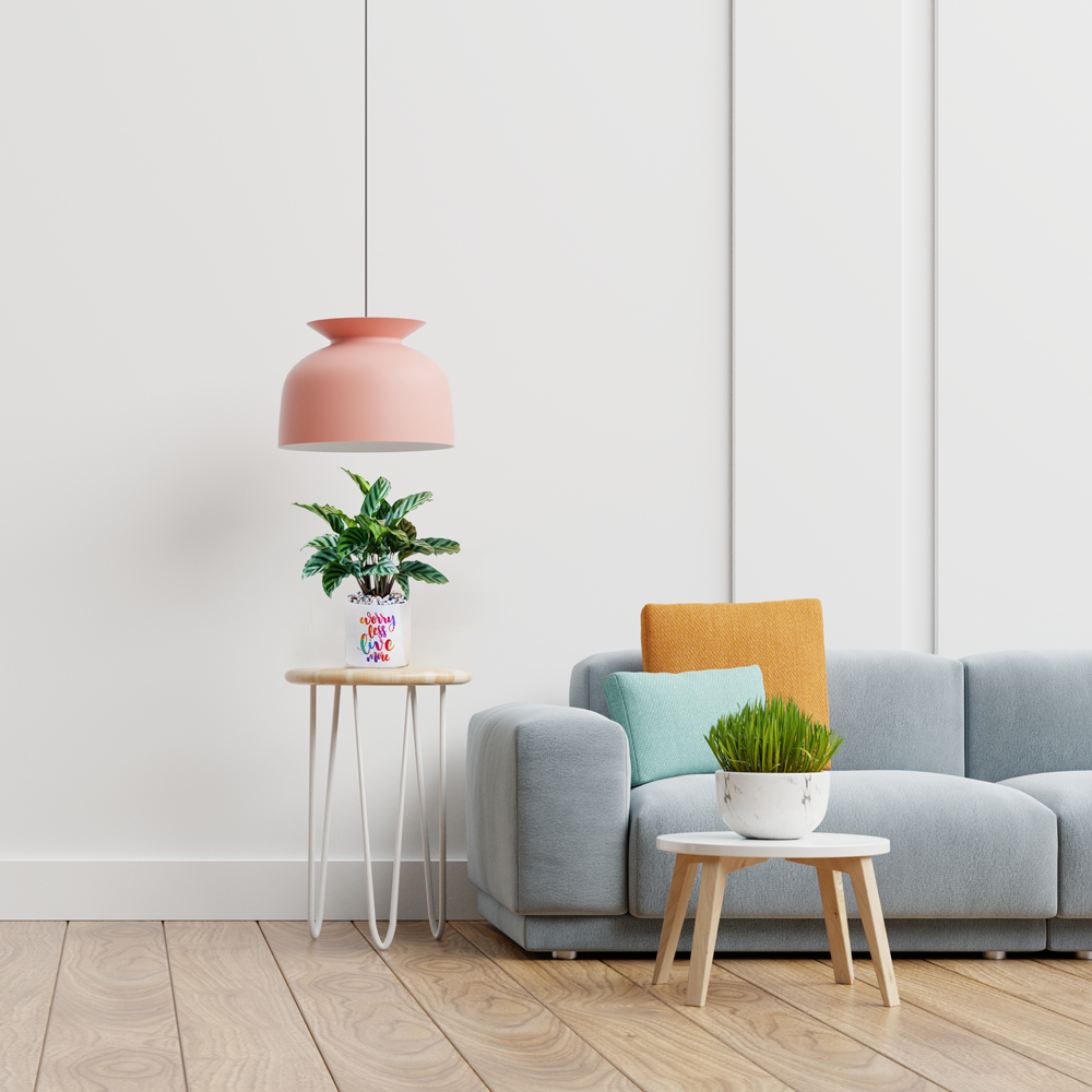 cay duoi cong xuong ca mowgarden