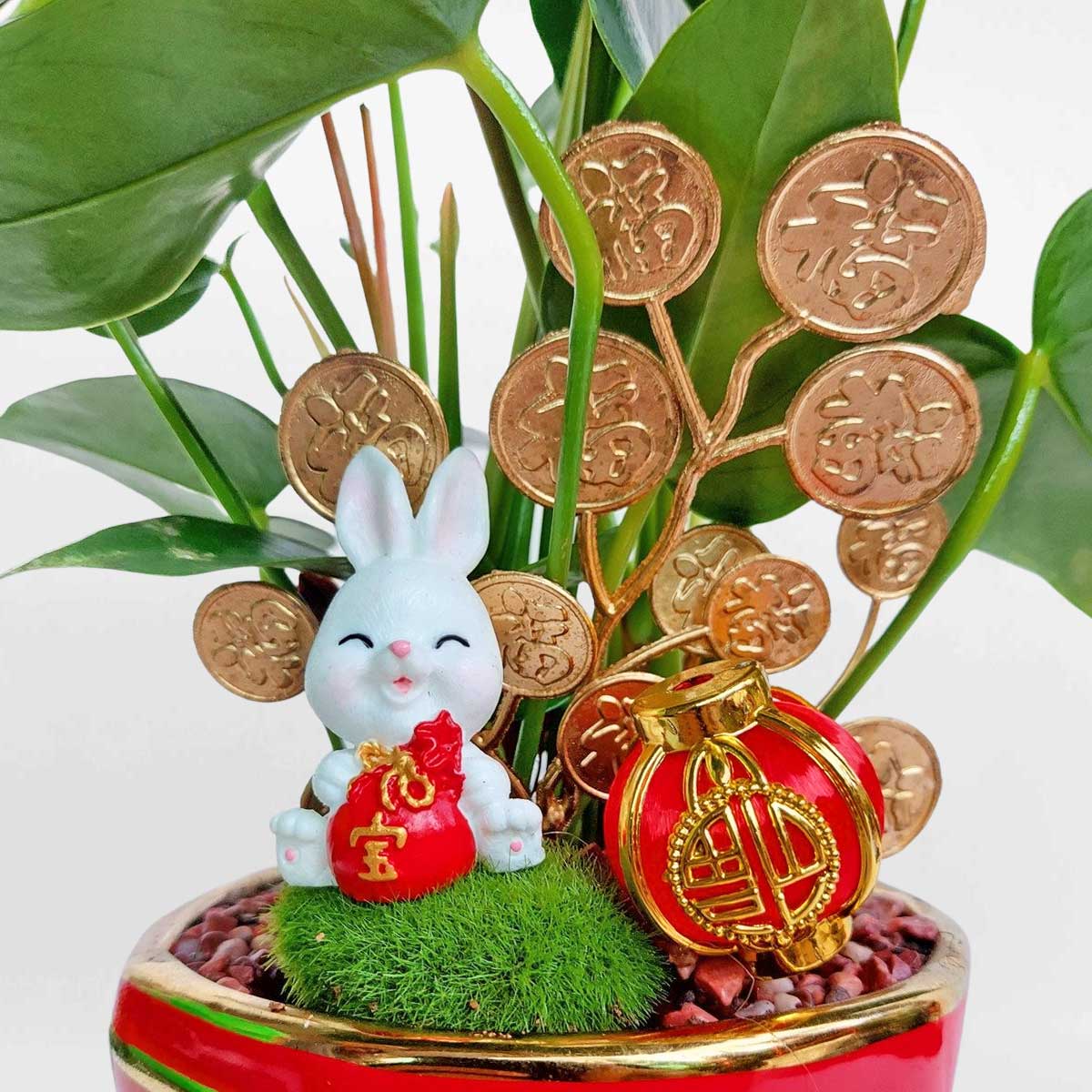 cay hong mon trung tet tho may man 2