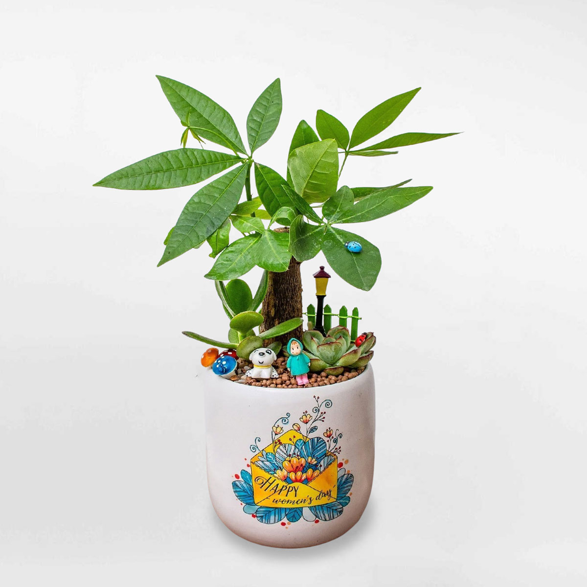 cây kim ngân tiểu cảnh mini