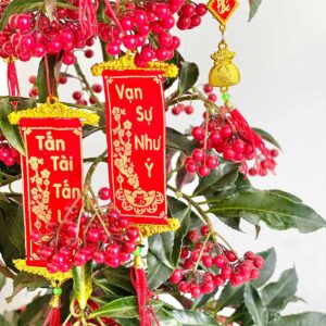 cay kim ngan luong trang tri tet