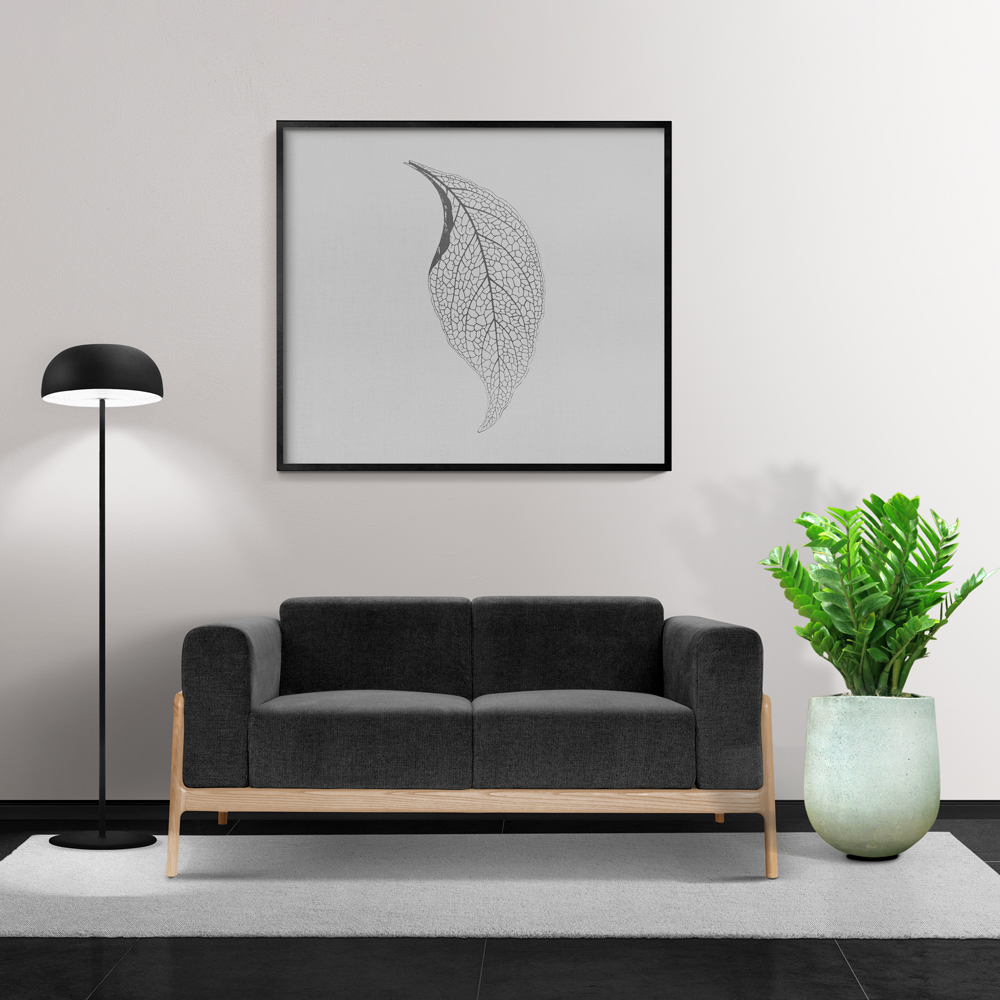 cay kim tien chau xi mang mowgarden