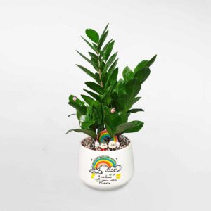 cay kim tien tieu canh de ban