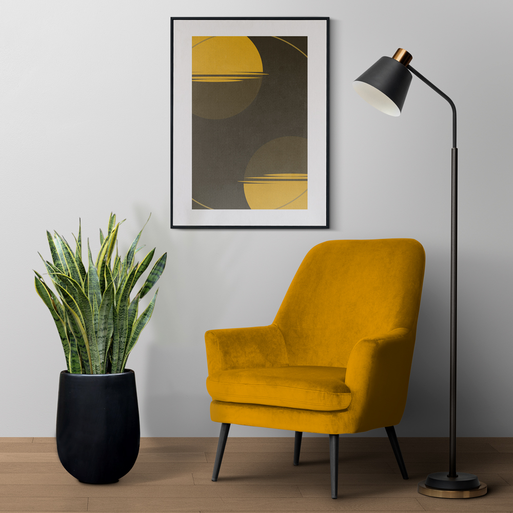 cay luoi ho cao mowgarden 01