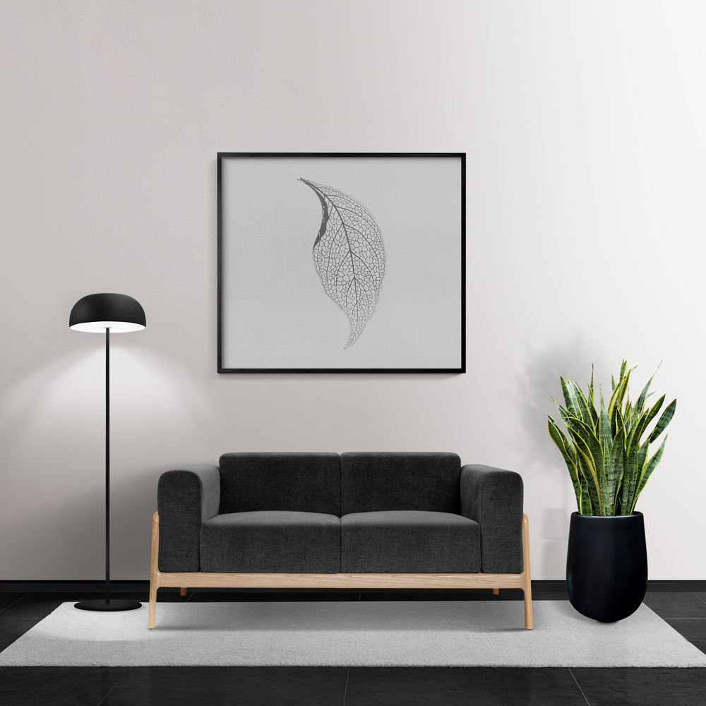 cay luoi ho cao mowgarden