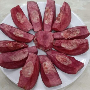 cay oi tim malaysia 4