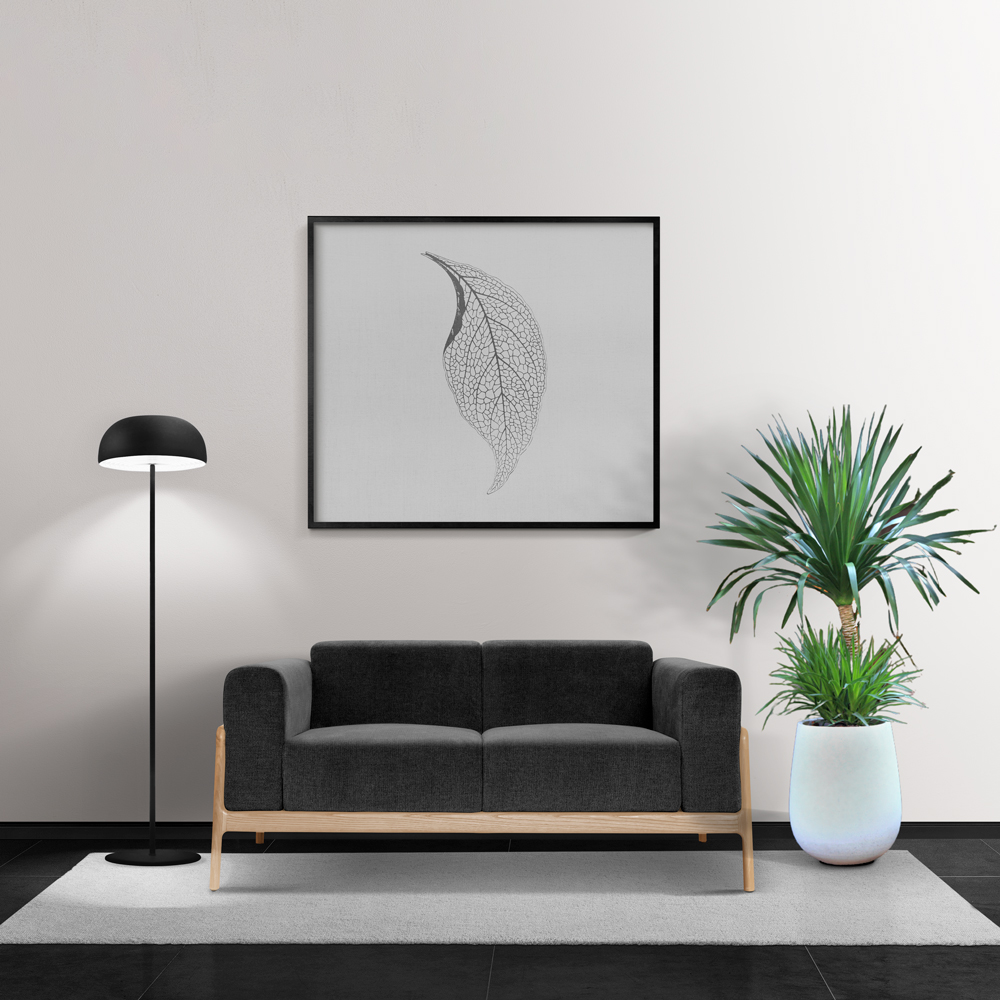 cay phat tai nui mowgarden 01