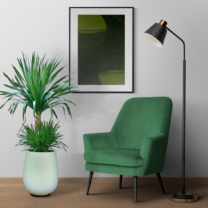 cay phat tai nui mowgarden 02