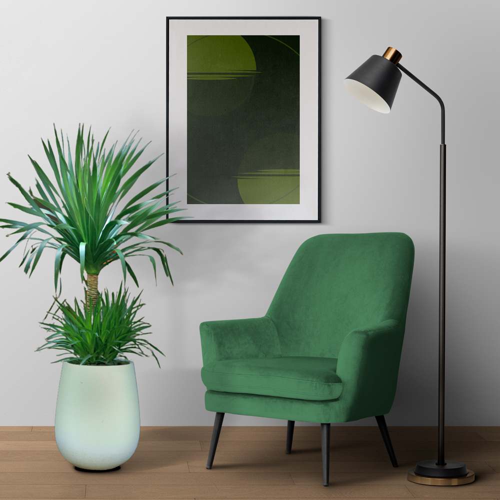 cay phat tai nui mowgarden 02