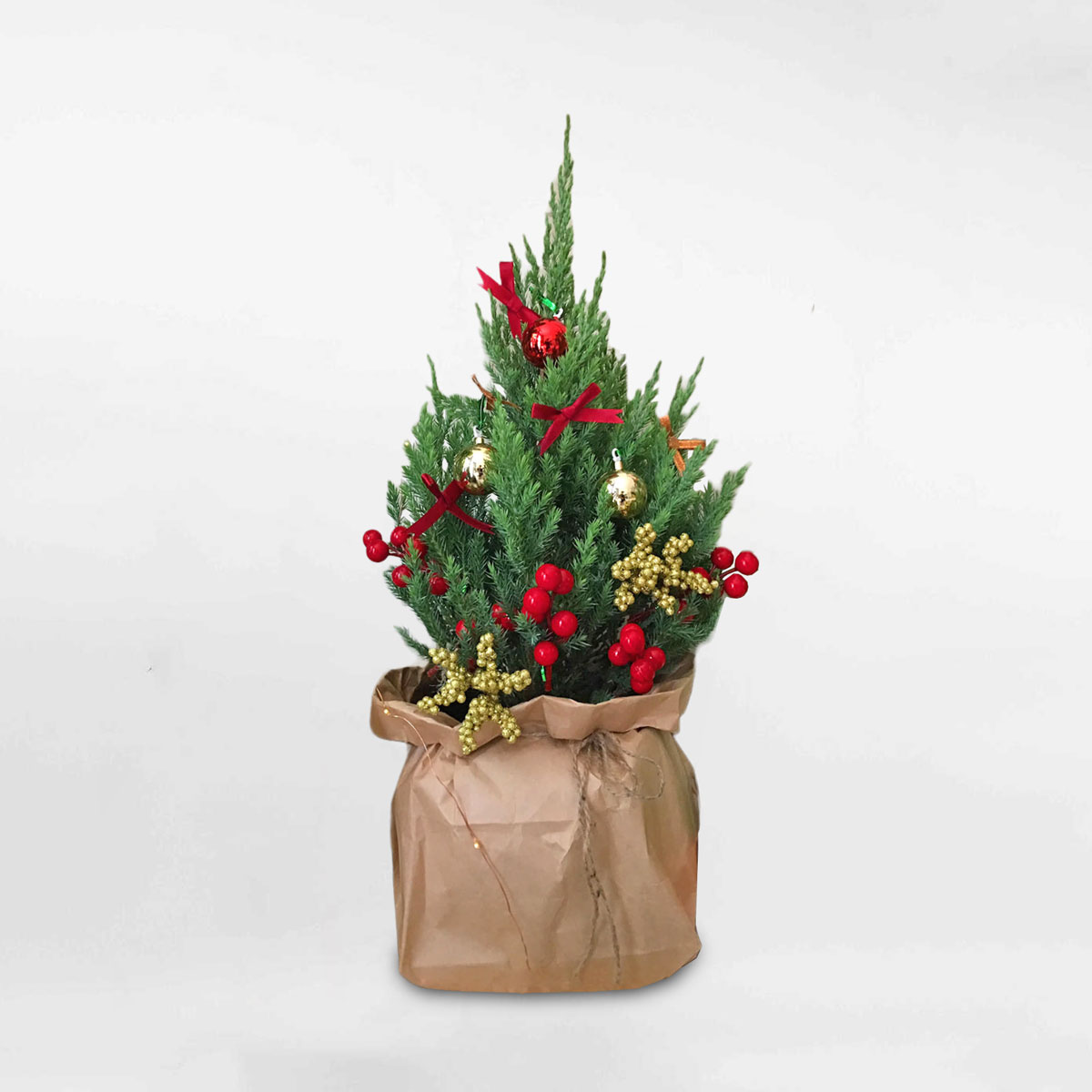 cây thông noel mini để bàn