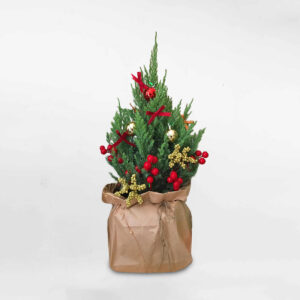 cây thông noel mini để bàn