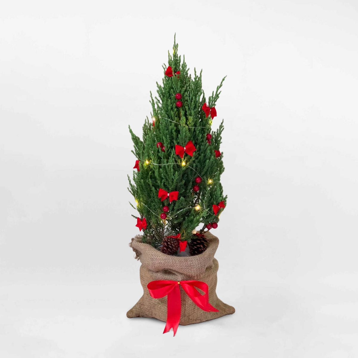 cay thong noel de ban trang tri 2022 1