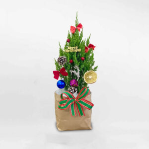 cây tùng trang trí giáng sinh