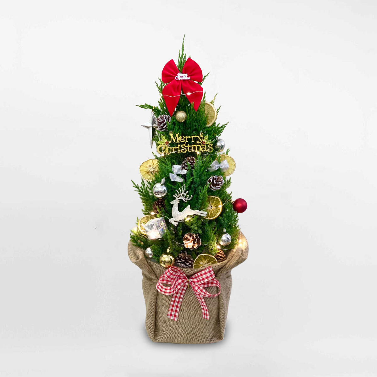 cay thong noel mini de ban