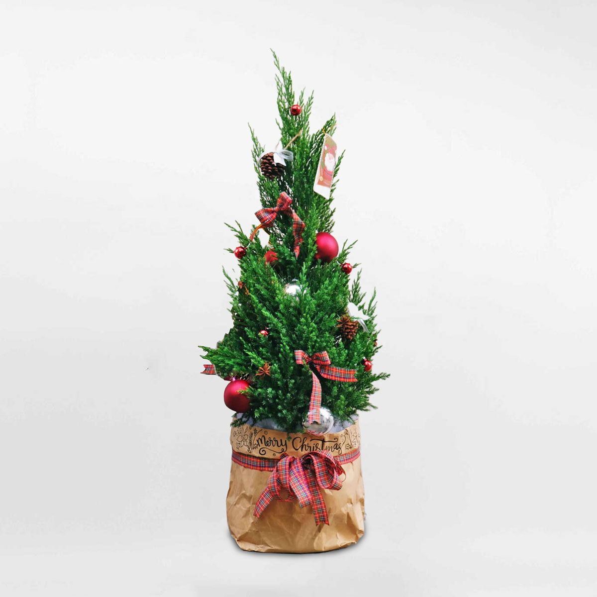 cay thong noel mini trang tri giang sinh 1