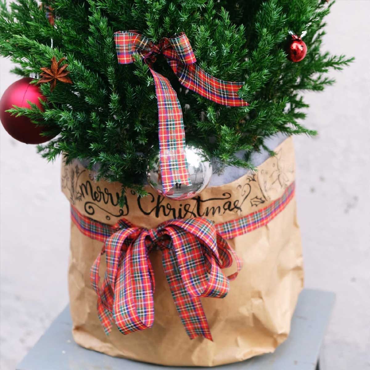 cay thong noel mini trang tri giang sinh 2