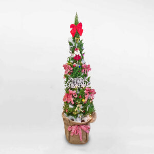 cay thong noel trang tri giang sinh van phong