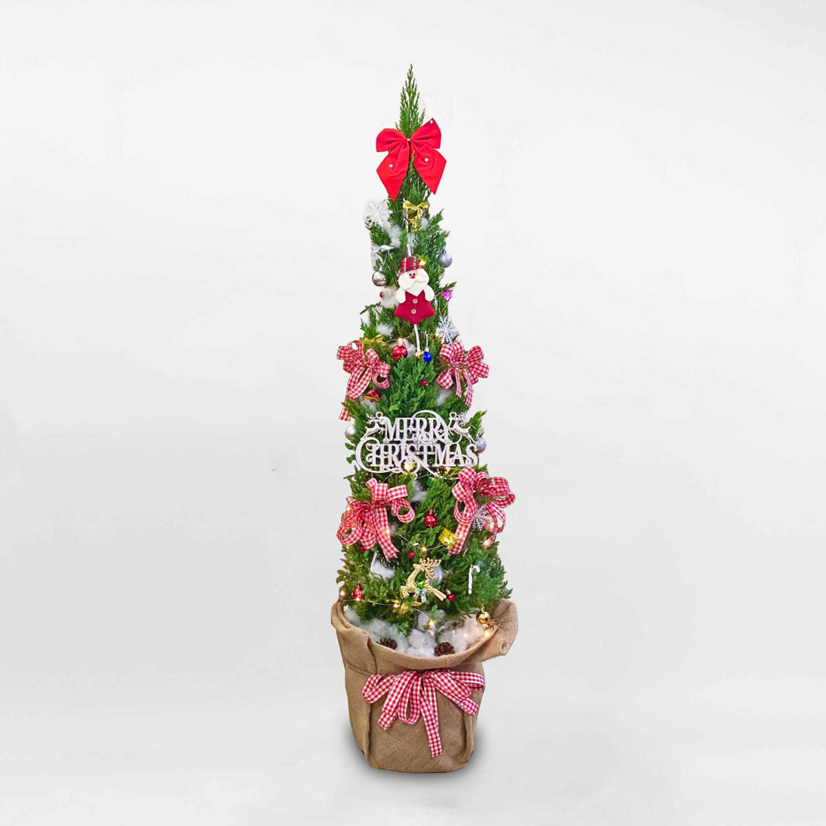 cay thong noel trang tri giang sinh van phong