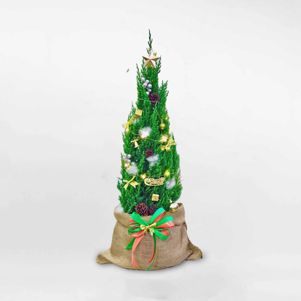 cay thong trang tri giang nho de ban