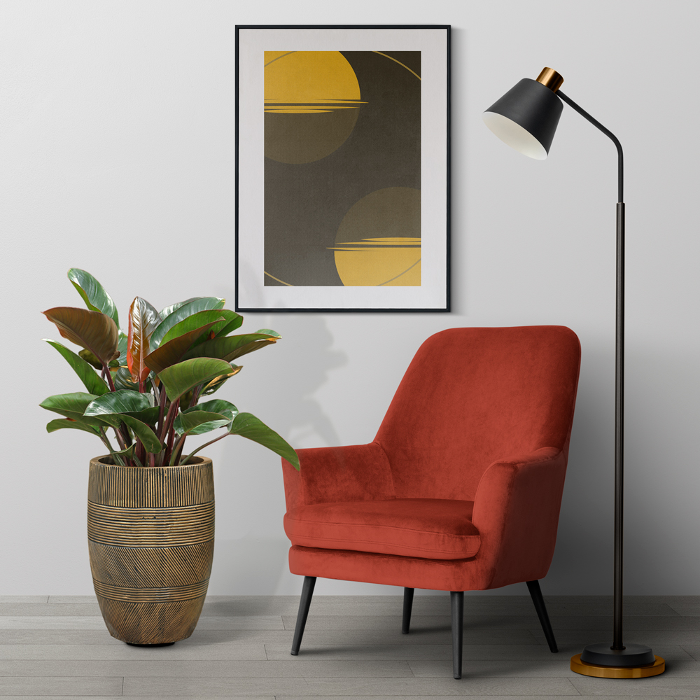 cay trau ba de vuong do mowgarden