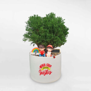 cay tung bong lai tieu canh de ban 1