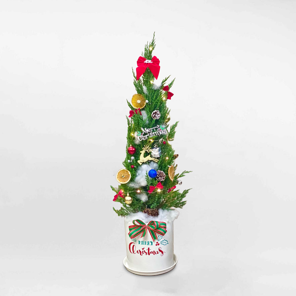 cây thông noel mini