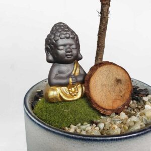 cay tung xuong ca tieu canh de ban 2