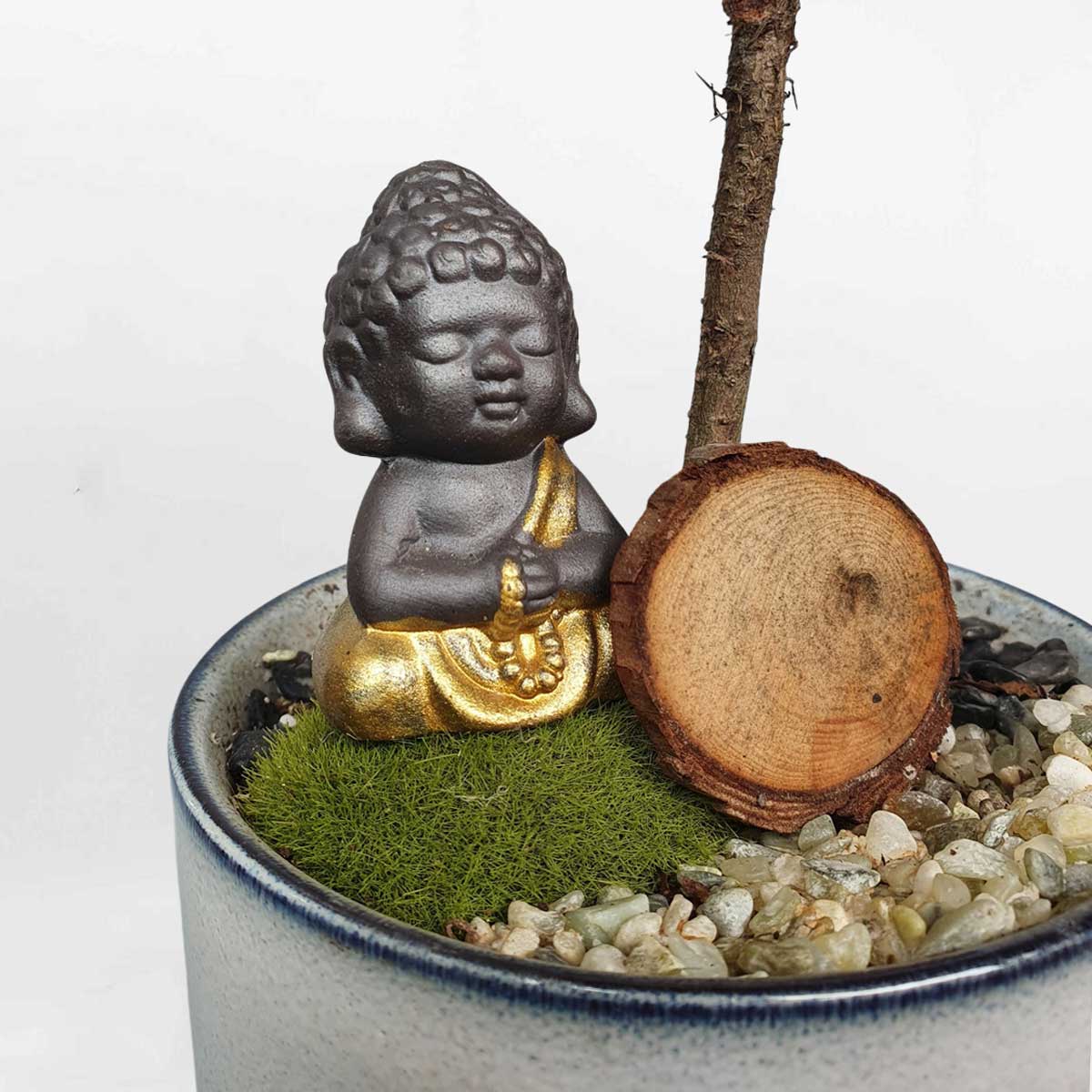 cay tung xuong ca tieu canh de ban 2