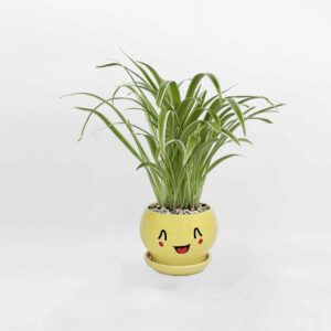 co lan chi de ban mowgaden