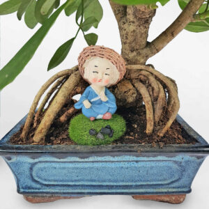 ngu gia bi bon sai 2a