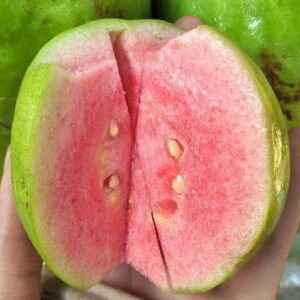 oi ruot do tan chau 2