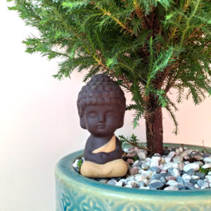 tung bong lai chu su de ban mowgarden 01