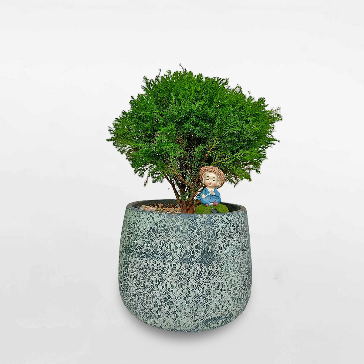 tungbonglaimowgarden