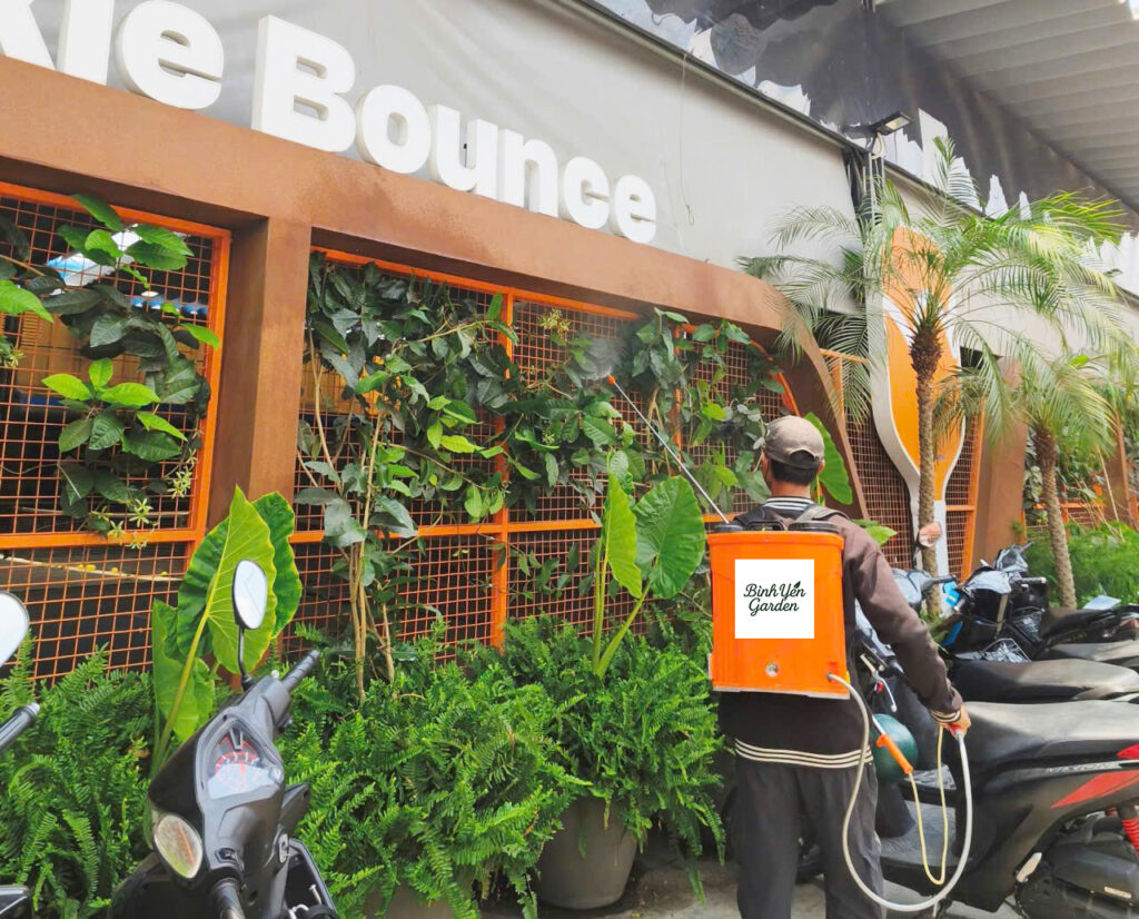 bảo dưỡng cây xanh