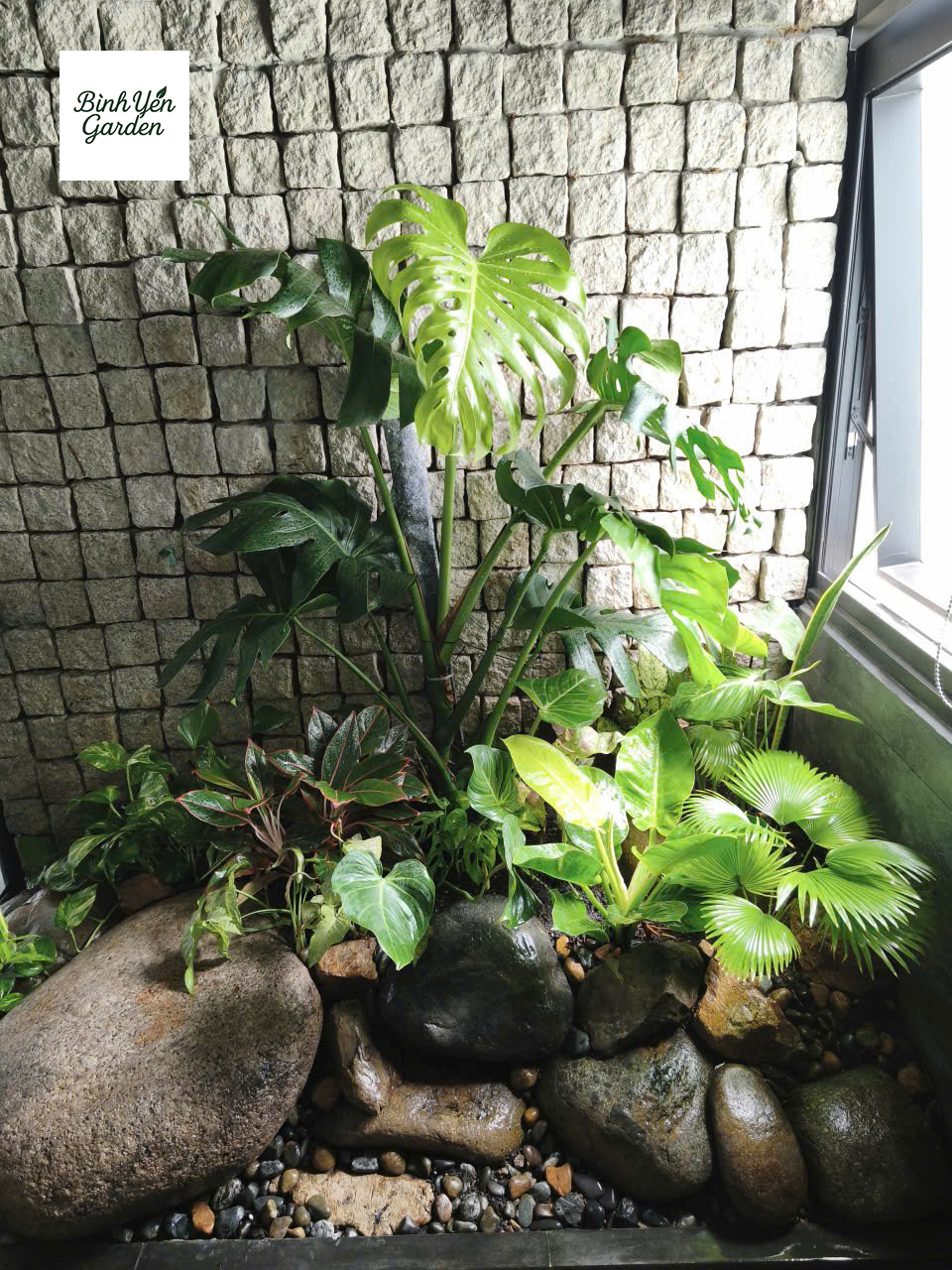 bảo dưỡng cây xanh