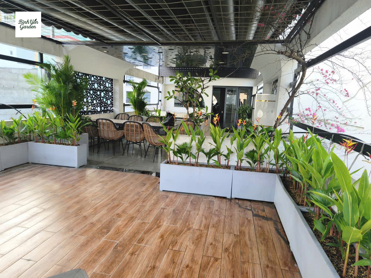 bảo dưỡng cây xanh