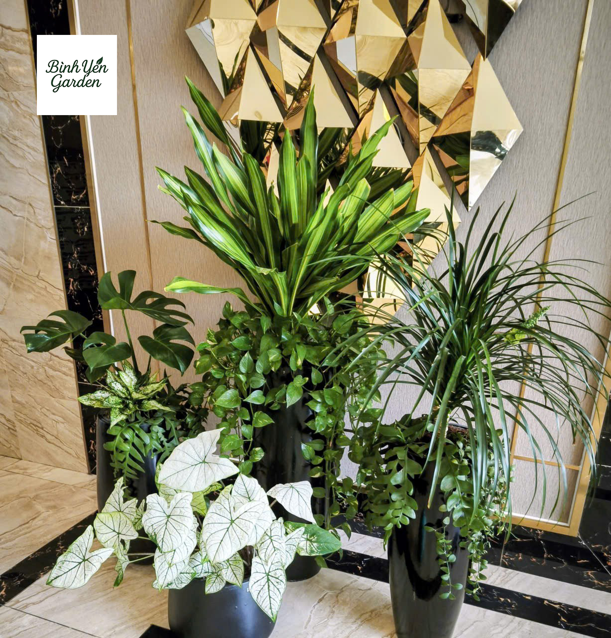 bảo dưỡng cây xanh