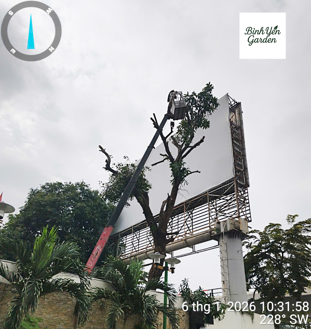 cắt tỉa cây xanh