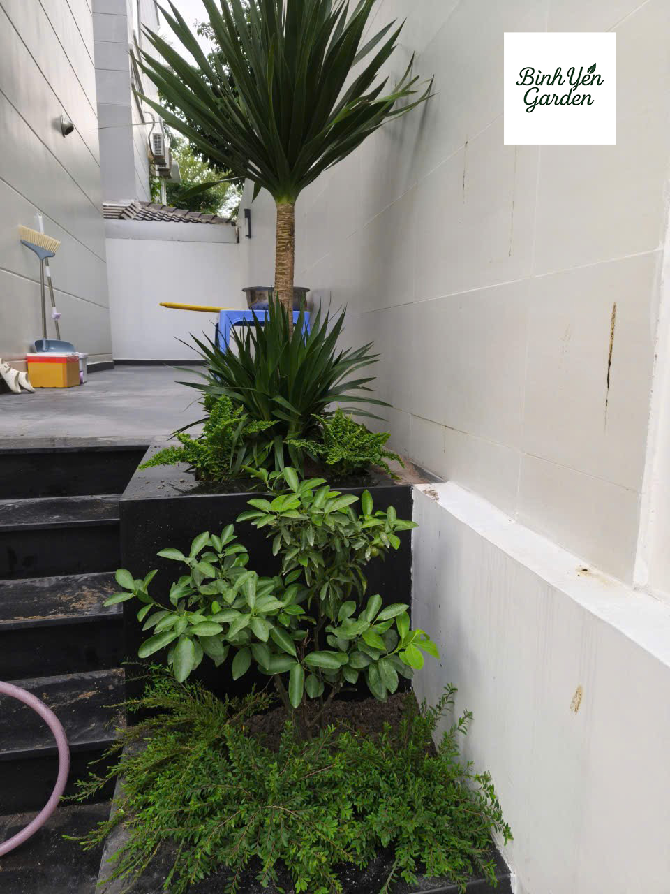 thi công cảnh quan