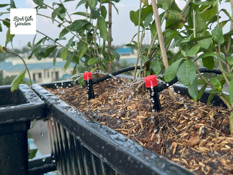 thi công hệ thống tưới cây tự động