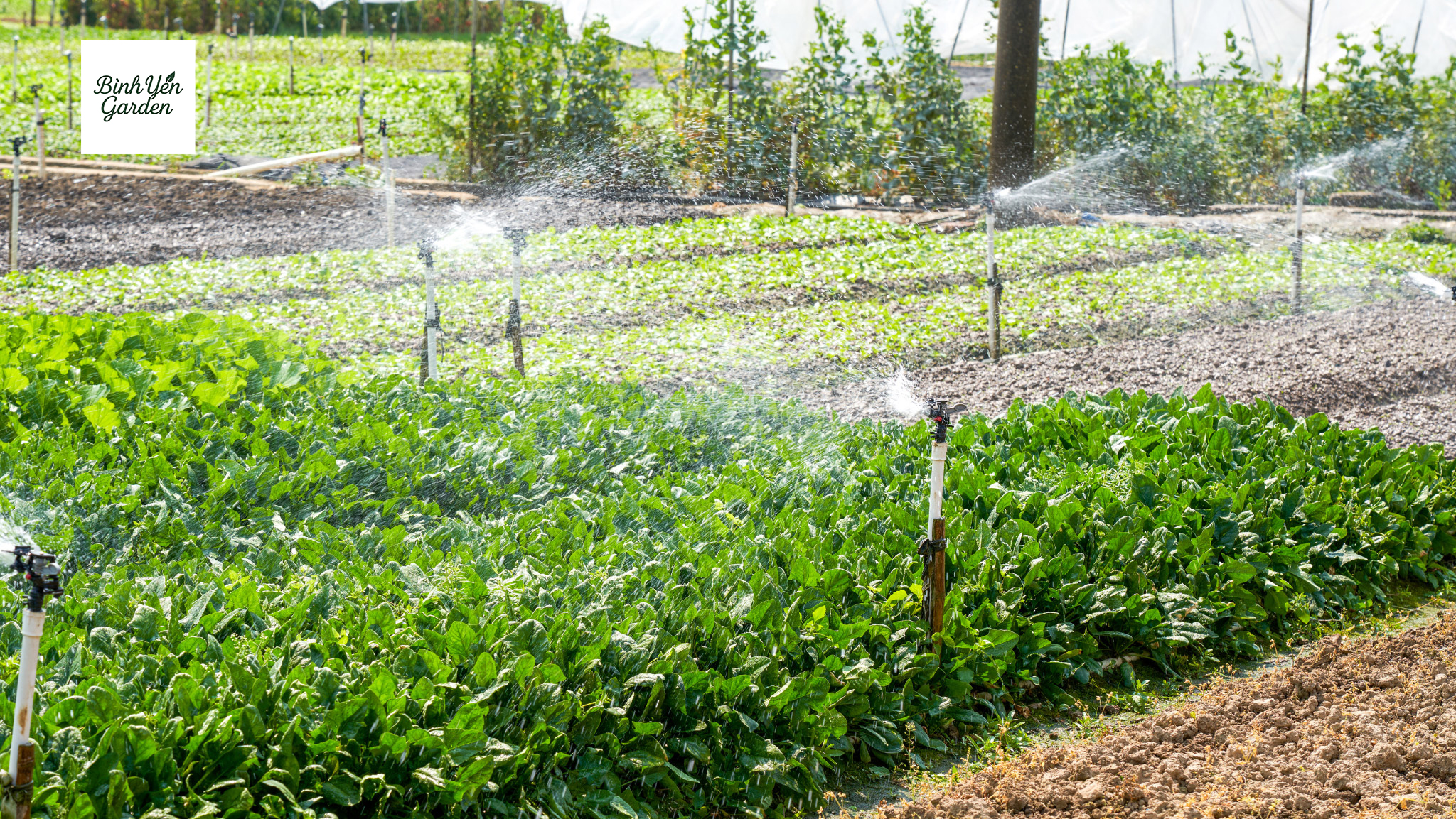 thi công hệ thống tưới cây tự động