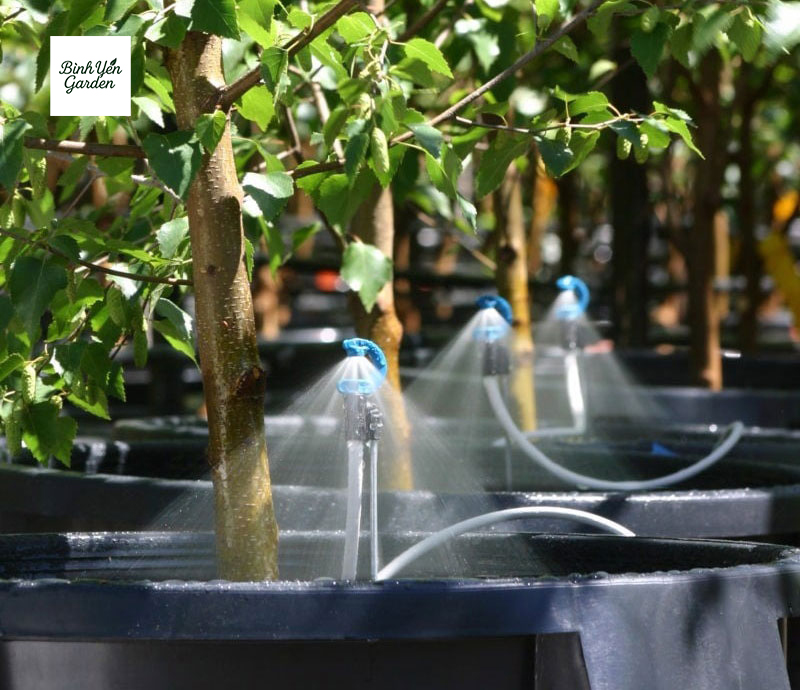 thi công hệ thống tưới cây tự động