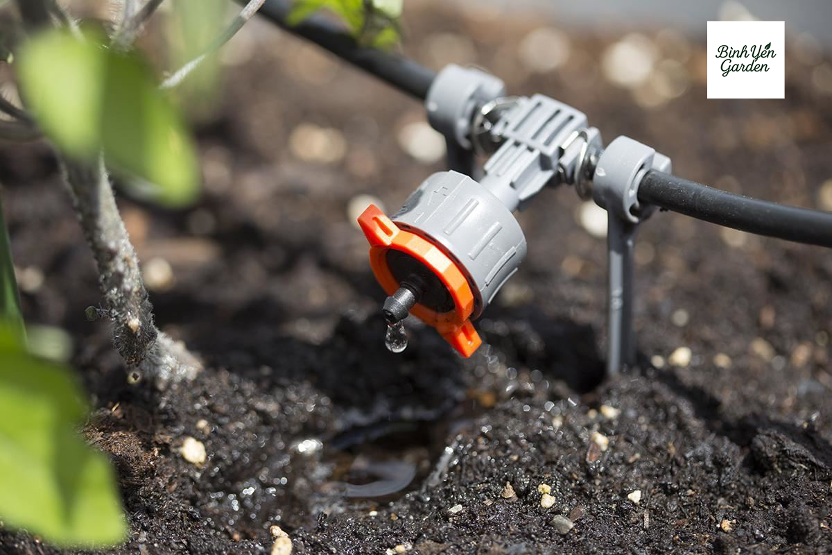 thi công hệ thống tưới cây tự động